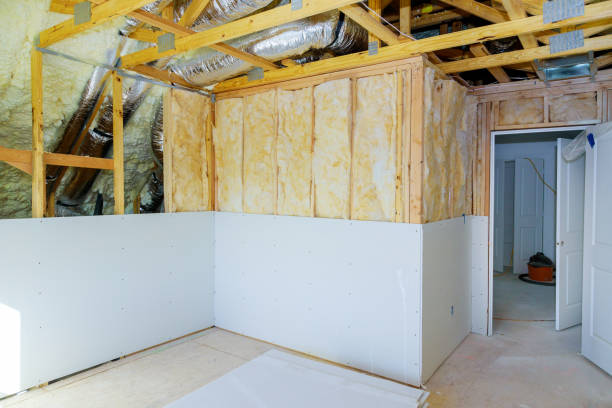 Best Insulation Maintenance and Repair in Buckhall, VA