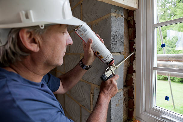 Best Eco-Friendly Insulation in Buckhall, VA